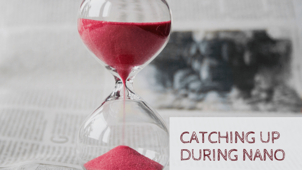 Catching Up During&nbsp;NaNo