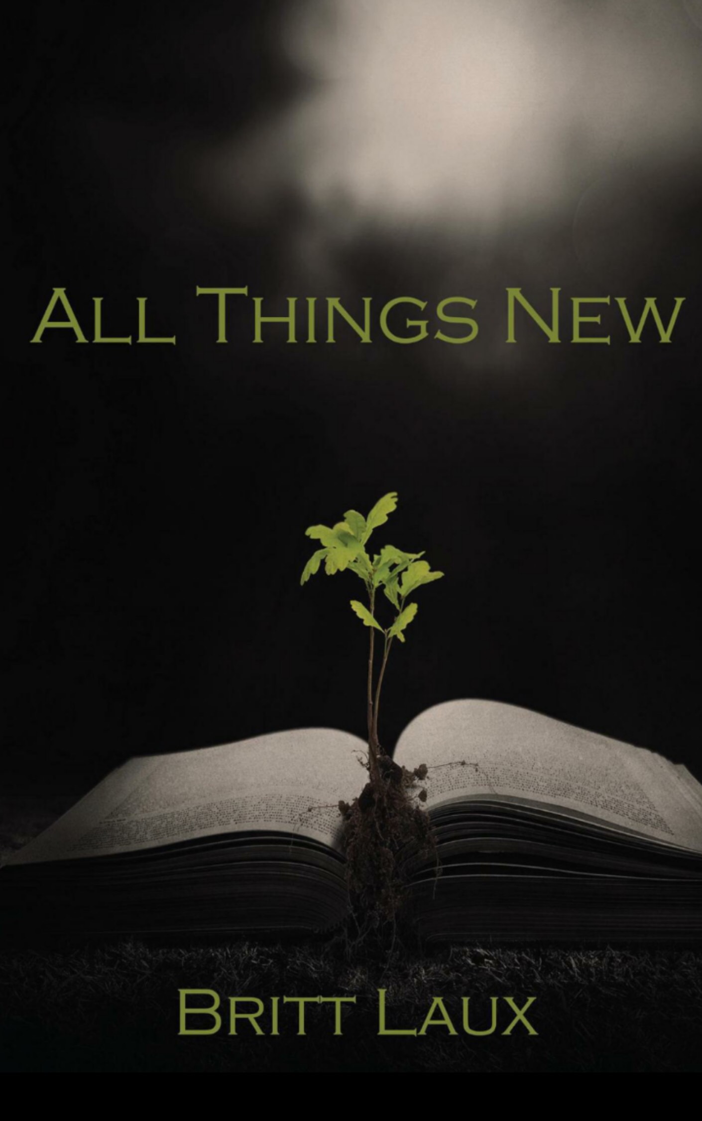 All things new by Britt Laux
